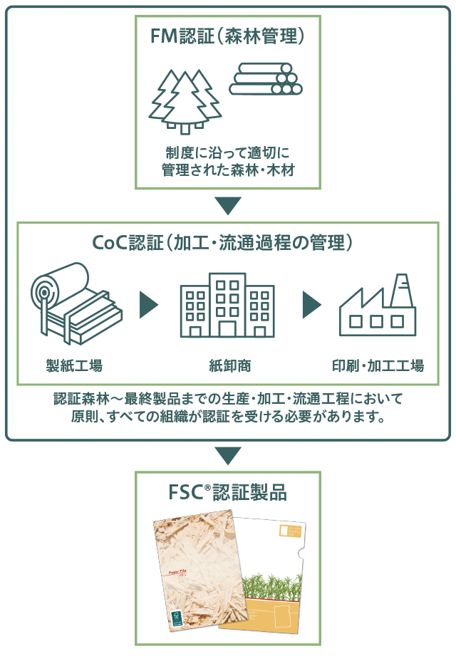 FSC森林認証の仕組みについて