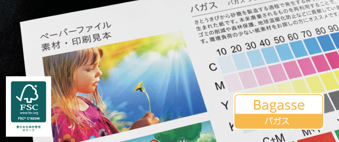 【FSC】A4ペーパーファイル バガス