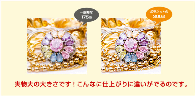 「一般的なクリアファイルは175線」「ボラネットのクリアファイルは300線」実物大の大きさです！こんなに仕上がりに違いがでるのです。