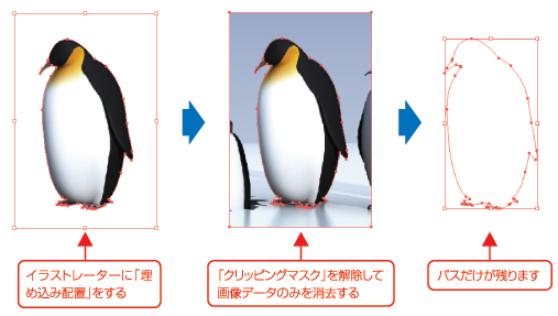 イラストレーターに「埋め込み配置」をする。「クリッピングマスク」を解除して画像データのみを消去する。パスだけが残ります。